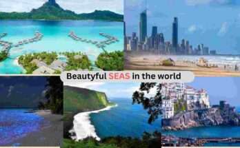 Beautiful Sea in the World