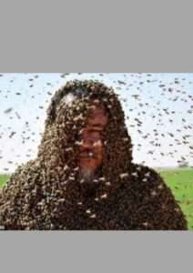 a-man-established-a-guinness-world-record-for-keeping-bees-on-his-face-for-more-than-four-hours